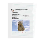 秘密結社猫のために生きよの道をあけろシリーズ　俺が猫界を獲る Clear File Folder