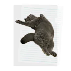 むっちり猫のむっちり丸のお腹ぽっこりむっちり丸 Clear File Folder