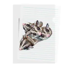 モモンガのしっぽの4 Sugar gliders! ver.3 Clear File Folder