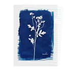 tocolierのCyanotype "matricaria" クリアファイル