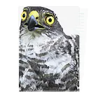 Little_Huge_Wild_Animalsのツミとぼけ Clear File Folder