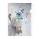 BARONのBARON rainbow n/100 Clear File Folder