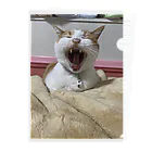 ツキコヨウのあくび猫 Clear File Folder