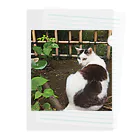 travelohayuの振り返り美猫図 Clear File Folder