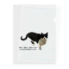 Maare last one mileの野良猫、生き延びる。 Clear File Folder