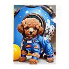 Pet_Charmの宙飛行士のような姿で登場!! Clear File Folder