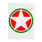 SuzutakaのSuica star Clear File Folder