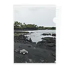 みちゅぱのハワイ島 ブラックビーチとウミガメ Clear File Folder