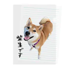 SHIBAOOOOOの柴生です クリアファイル