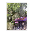 chan kumiの和風パワースポットshrine Clear File Folder