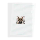 TAIYO 猫好きのビックフォト茶虎模様猫 Clear File Folder