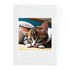 anagram12の見つめる子猫 Clear File Folder