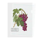 たくみのグッズショップのヨーロッパブドウ（Vitis vinifera） Clear File Folder