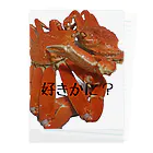 natiririのカニカニパニック。 Clear File Folder