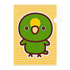 いんこ屋堂のキビタイボウシインコ Clear File Folder