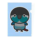 いんこ屋堂のホオミドリウロコインコ（ブルー） Clear File Folder