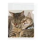 全部ユズ🐈とポンズ😸のユズ・ポンズ 公式-1 Clear File Folder