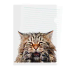 日向ぼっこのずぶ濡れ猫 Clear File Folder