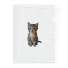 ちびえりshopの見つめる仔猫 Clear File Folder