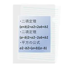 samohan0121の数学の公式をアイテム化　第3弾 Clear File Folder