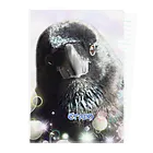 カラスのクッピのカラスのクッピ Clear File Folder