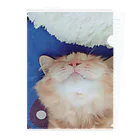 Mizuki・ASIA CATのcoco Clear File Folder