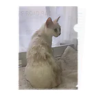 Mizuki・ASIA CATの後ろ美猫MILU🐾 クリアファイル