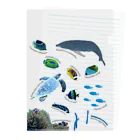 L_arctoaの沖縄の海の生き物 Clear File Folder