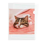 yume-neko-houseのとろける猫 Clear File Folder