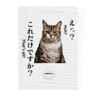 catnip factoryの不満顔の猫 Clear File Folder