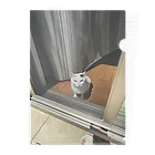 ねこやまさんの外をみるすず Clear File Folder