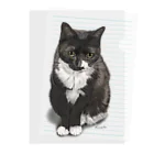 kinako-japanのくつした猫のくろみつ Clear File Folder