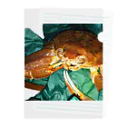 架空の坩堝の新鮮な蟹 クリアファイル