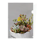 ネコスマッシュの多肉植物　セダムの花 Clear File Folder