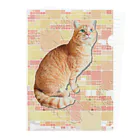 ともの茶トラにゃんこ Gingercat 文字入り Clear File Folder