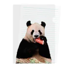 HKG パンダのスイカとパンダ Clear File Folder