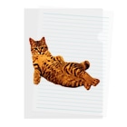 Elegant CatのElegant Cat ① Clear File Folder