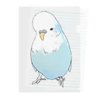 まめるりはことりの可愛いジャンボセキセイインコ【まめるりはことり】 Clear File Folder