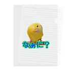 ぴーよこまる（セキセイインコ）のまるのなぁに？ Clear File Folder