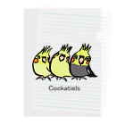 Mitsu-ZoのCockatiels Clear File Folder