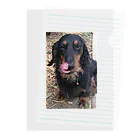 ruby mini moonのdog Clear File Folder