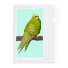 街のいろどりのキガシラアオハシインコ Clear File Folder