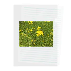 Studio  BLUEのFlowers Clear File Folder