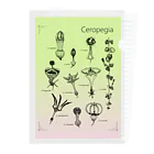 DOTEKKOのT-29 Ceropegia  Clear File Folder