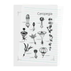 DOTEKKOのT-29 Ceropegia Clear File Folder