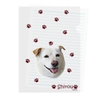 ABCDOGSのうちの子お写真グッズ＜しろうさん＞　ABCDOGS Clear File Folder