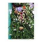 Hako Hosokawaのt-flower-1 Clear File Folder