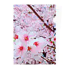 Yu-yuのさくら桜🌸 クリアファイル