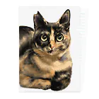 ジュウナンザイ屋のいとこんちのねこ Clear File Folder