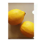 _foxのLemon  Clear File Folder